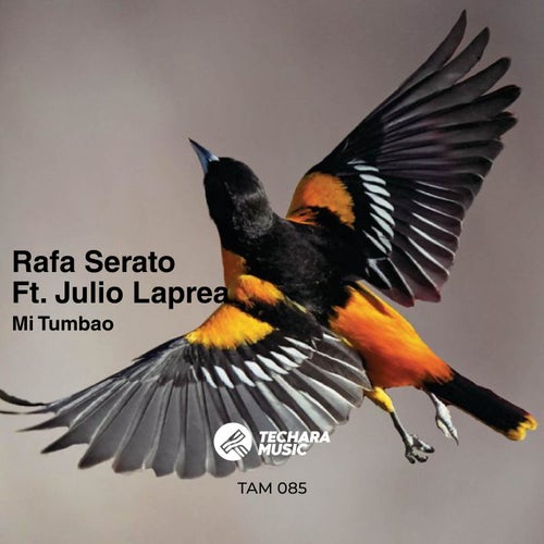 Mi Tumbao