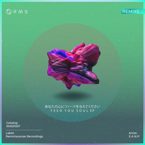 Feed Your Soul Remixes