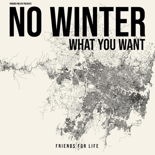 What You Want (Extended Mix)