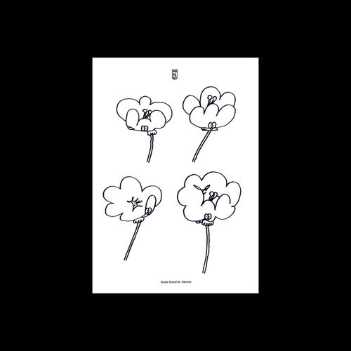 Poppies