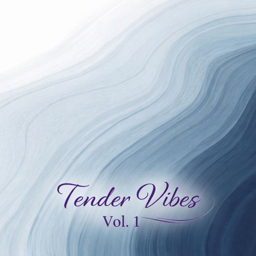 Tender Vibes, Vol. 1