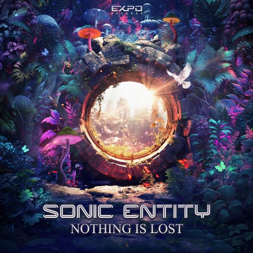  Sonic Entity - Nothing Is Lost (2023) 