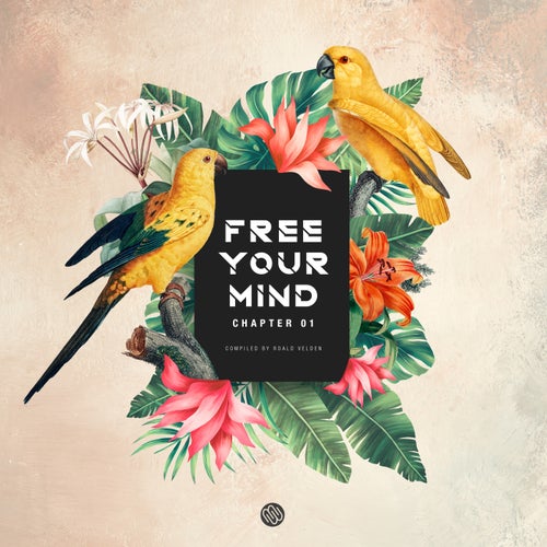 Free Your Mind (Chapter 01)