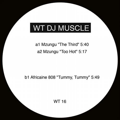 WT DJ MUSCLE 16