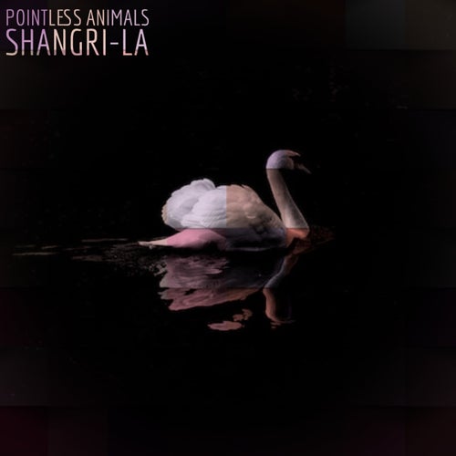 Shangri-la