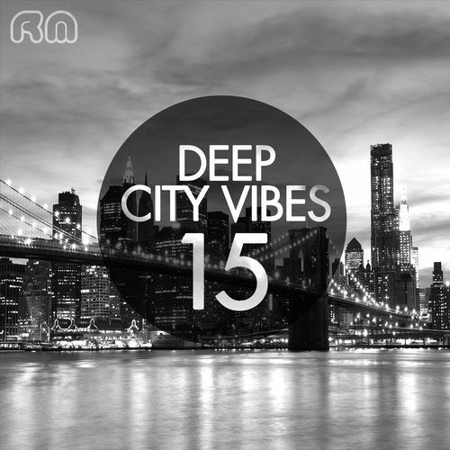 Deep City Vibes, Vol. 15