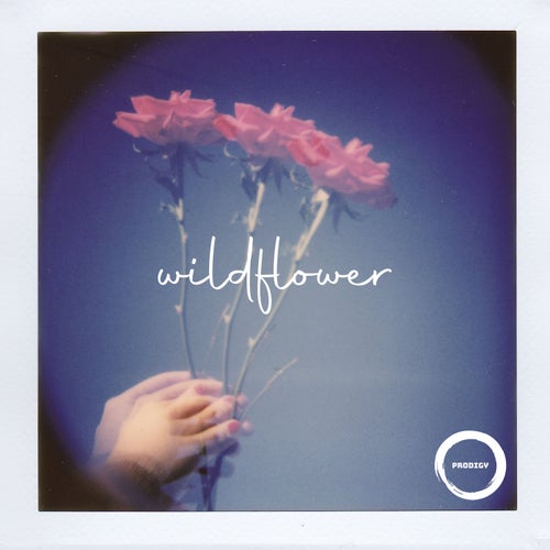 wildflower