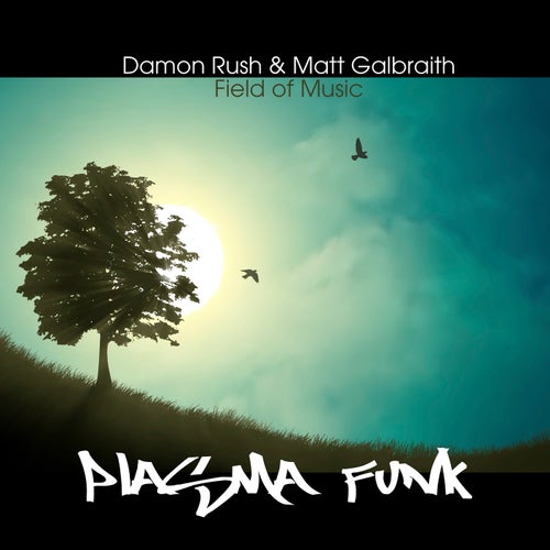 Field of Music