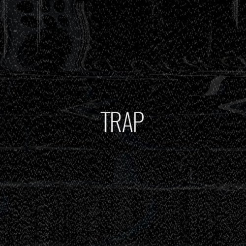 Biggest Basslines: Trap