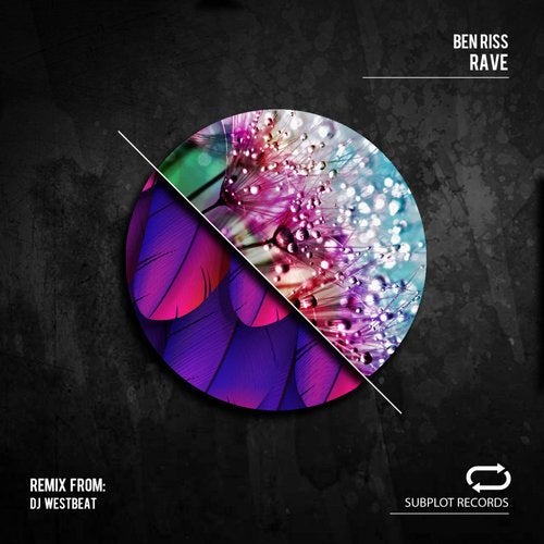 Cover art for Rave