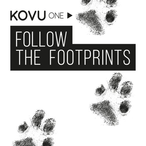 Follow The Footprints