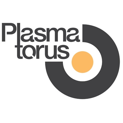 Plasma Torus