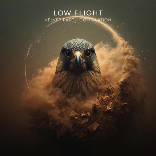 Low Flight