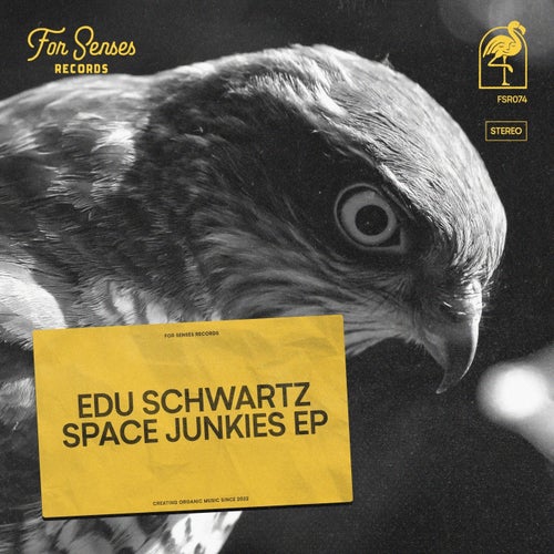 Space Junkies