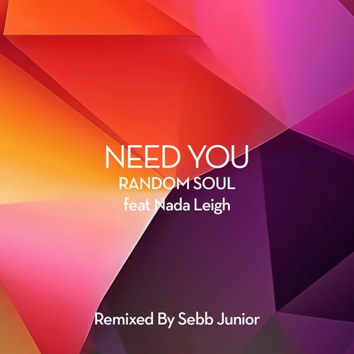 Need You (Sebb Junior Extended Mix)
