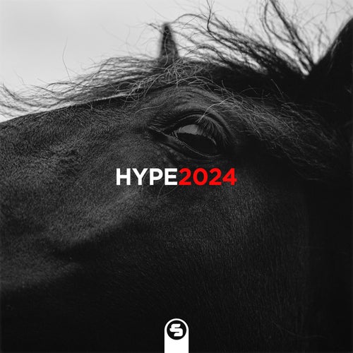 Cover art for Hype2024