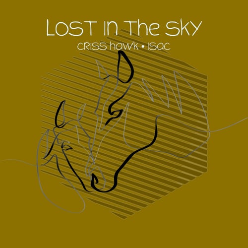 Lost in the Sky