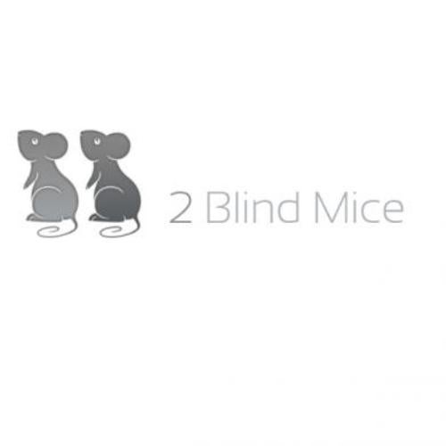 2 Blind Mice