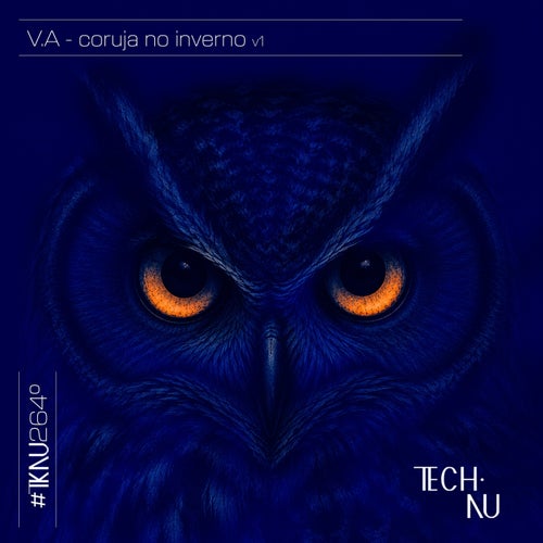 Coruja No Inverno [2026]