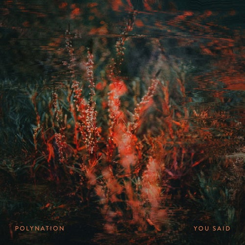 You Said