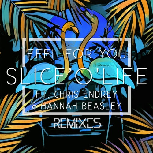 Feel for You (feat. Chris Endrey, Hannah Beasley) [Remixes]