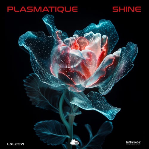 Shine