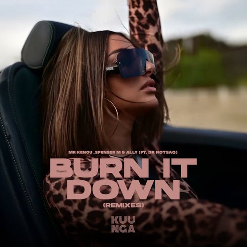 Burn It Down (Remixes) (feat. Dr Notsaq)