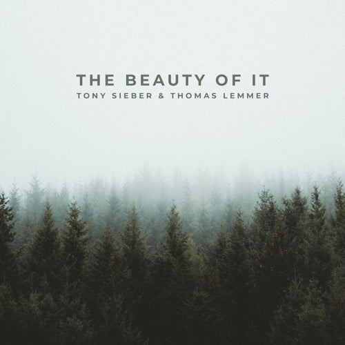 The Beauty of It (Reimagined)