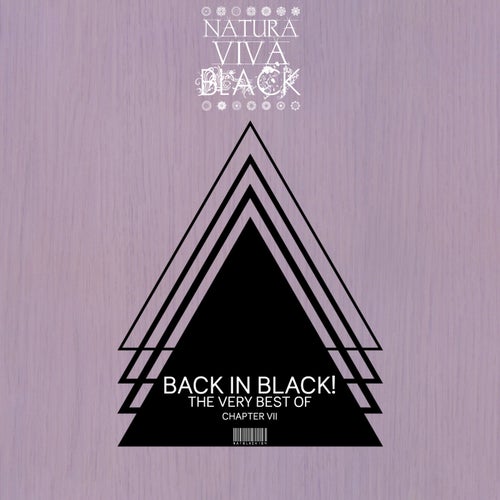 Back In Black! (The Very Best Of) Chapter 7
