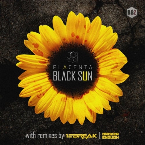 Black Sun