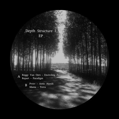 Cover art for Depth Structure I