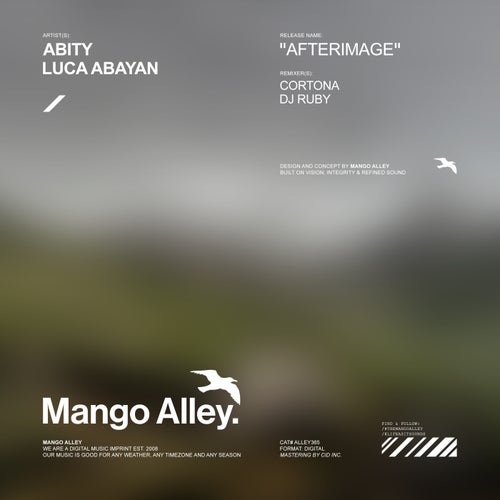 Afterimage