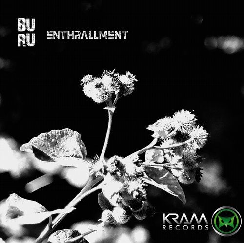 Cover art for Enthrallment