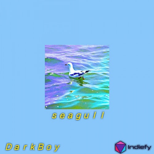 Seagull