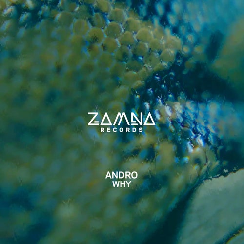 Why (Extended Mix)