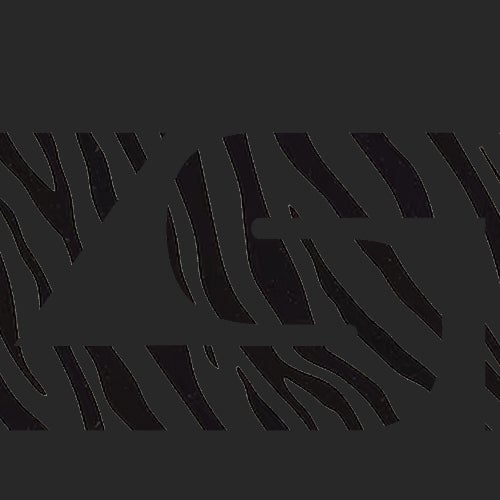 Zebra Spirit Tribe