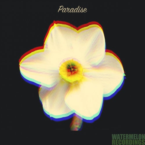 Paradise