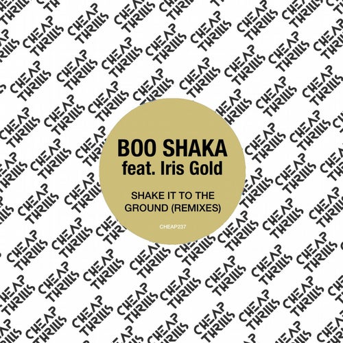 Shake It to the Ground (Remixes)