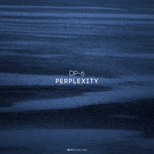 DP-6 - Perplexity (2024)