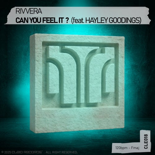 Can You Feel It ? (feat. Hayley Goodings)