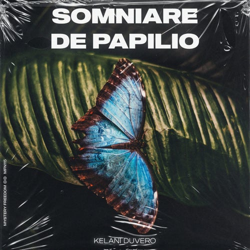  Kelani Duvero - Somniare De Papilio (2023) 