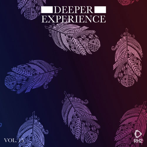 Deeper Experience Vol. 15