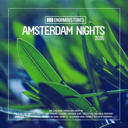 Cover art for Enormous Tunes - Amsterdam Nights 2016