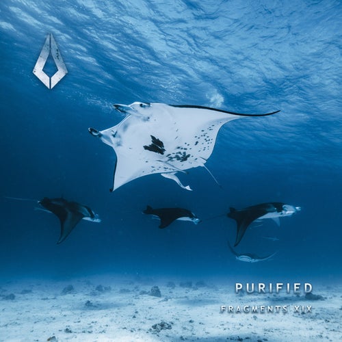 Purified Fragments XXIX