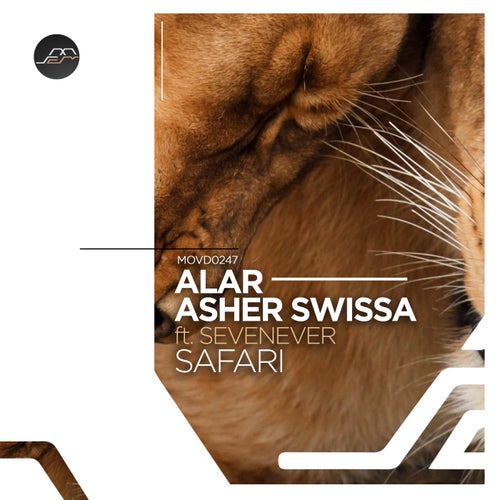 Asher Swissa, Alar - Safari.mp3