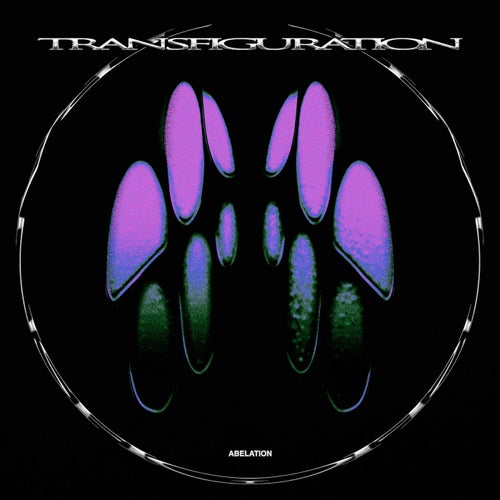 Transfiguration