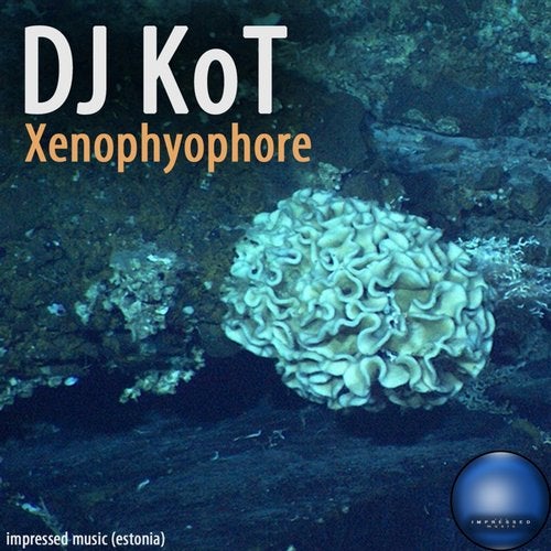 Xenophyophore