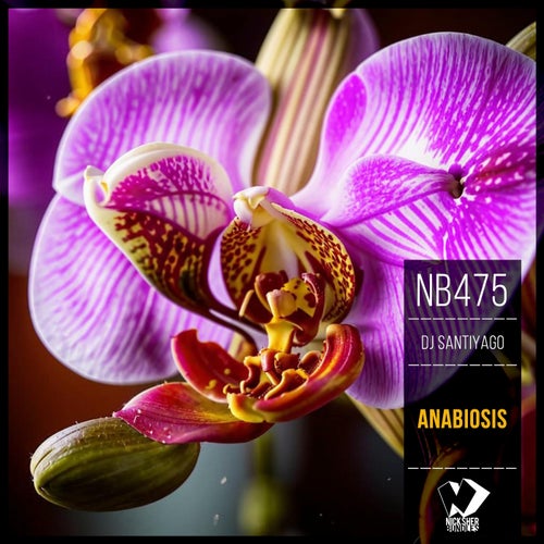 Anabiosis