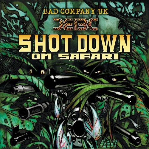 Cover art for Shot Down on Safari