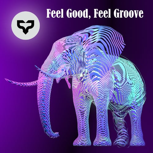 Feel Good, Feel Groove